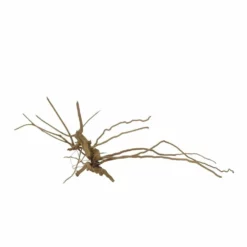 M Moorkienwurzel Nr.7349 Holz Deko Aquascaping -Haus Dekoration Verkaufsgeschäft M Moorkienwurzel Nr 7348 Holz Deko Aquascaping 7349 4 31090