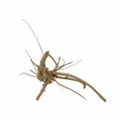 M Moorkienwurzel Nr.7350 Holz Deko Aquascaping -Haus Dekoration Verkaufsgeschäft M Moorkienwurzel Nr 7349 Holz Deko Aquascaping 7350 2 31091