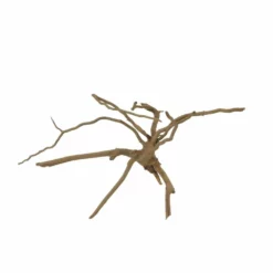 M Moorkienwurzel Nr.7351 Holz Deko Aquascaping -Haus Dekoration Verkaufsgeschäft M Moorkienwurzel Nr 7350 Holz Deko Aquascaping 7351 3 31092