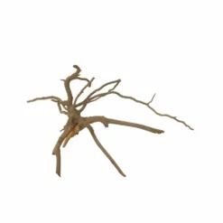 M Moorkienwurzel Nr.7351 Holz Deko Aquascaping -Haus Dekoration Verkaufsgeschäft M Moorkienwurzel Nr 7350 Holz Deko Aquascaping 7351 4 31092