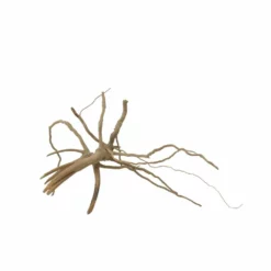 M Moorkienwurzel Nr.7352 Holz Deko Aquascaping -Haus Dekoration Verkaufsgeschäft M Moorkienwurzel Nr 7351 Holz Deko Aquascaping 7352 3 31093