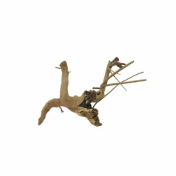 M Moorkienwurzel Nr.7353 Holz Deko Aquascaping -Haus Dekoration Verkaufsgeschäft M Moorkienwurzel Nr 7352 Holz Deko Aquascaping 7353 3 31094