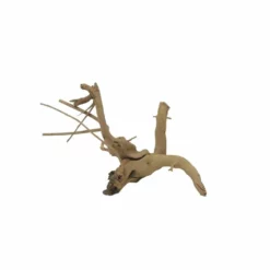 M Moorkienwurzel Nr.7353 Holz Deko Aquascaping -Haus Dekoration Verkaufsgeschäft M Moorkienwurzel Nr 7352 Holz Deko Aquascaping 7353 4 31094