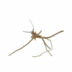 M Moorkienwurzel Nr.7354 Holz Deko Aquascaping