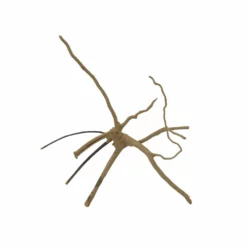 M Moorkienwurzel Nr.7354 Holz Deko Aquascaping -Haus Dekoration Verkaufsgeschäft M Moorkienwurzel Nr 7353 Holz Deko Aquascaping 7354 4 31095