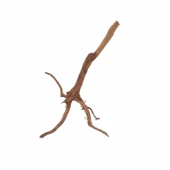 M Red Spider Wurzel Nr.6017 Fingerwurzel Echtholz Deko Aquascaping