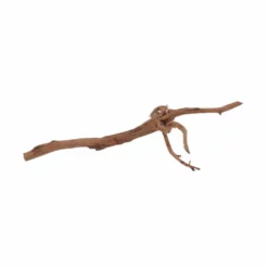 M Red Spider Wurzel Nr.6017 Fingerwurzel Echtholz Deko Aquascaping -Haus Dekoration Verkaufsgeschäft M Red Spider Wurzel Nr 6016 Fingerwurzel Echtholz Deko Aquascaping 6017 3 29429