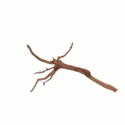 M Red Spider Wurzel Nr.6017 Fingerwurzel Echtholz Deko Aquascaping -Haus Dekoration Verkaufsgeschäft M Red Spider Wurzel Nr 6016 Fingerwurzel Echtholz Deko Aquascaping 6017 4 29429