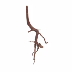 M Red Spider Wurzel Nr.6039 Fingerwurzel Echtholz Deko Aquascaping -Haus Dekoration Verkaufsgeschäft M Red Spider Wurzel Nr 6038 Fingerwurzel Echtholz Deko Aquascaping 6039 2 29451