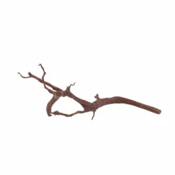 M Red Spider Wurzel Nr.6039 Fingerwurzel Echtholz Deko Aquascaping -Haus Dekoration Verkaufsgeschäft M Red Spider Wurzel Nr 6038 Fingerwurzel Echtholz Deko Aquascaping 6039 3 29451