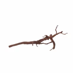 M Red Spider Wurzel Nr.6039 Fingerwurzel Echtholz Deko Aquascaping -Haus Dekoration Verkaufsgeschäft M Red Spider Wurzel Nr 6038 Fingerwurzel Echtholz Deko Aquascaping 6039 4 29451
