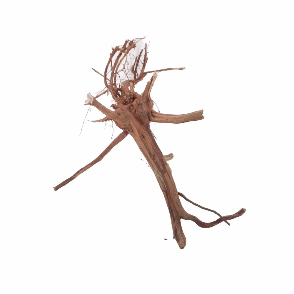 M Siennawurzel Nr.3048 Wurzel Holz Aquarium Deko Aquascaping 3 M Siennawurzel Nr.3048 Wurzel Holz Aquarium Deko Aquascaping – Bild 3