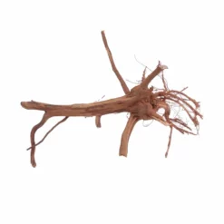 M Siennawurzel Nr.3048 Wurzel Holz Aquarium Deko Aquascaping 7 M Siennawurzel Nr.3048 Wurzel Holz Aquarium Deko Aquascaping -Haus Dekoration Verkaufsgeschäft M Siennawurzel Nr 3047 Wurzel Holz Aquarium Deko Aquascaping 3048 3 25984