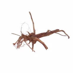 M Siennawurzel Nr.3048 Wurzel Holz Aquarium Deko Aquascaping 5 M Siennawurzel Nr.3048 Wurzel Holz Aquarium Deko Aquascaping -Haus Dekoration Verkaufsgeschäft M Siennawurzel Nr 3047 Wurzel Holz Aquarium Deko Aquascaping 3048 4 25984