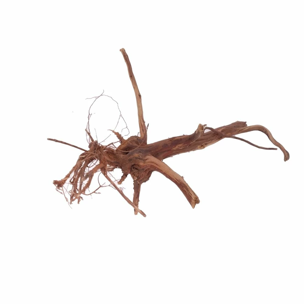 M Siennawurzel Nr.3048 Wurzel Holz Aquarium Deko Aquascaping 2 M Siennawurzel Nr.3048 Wurzel Holz Aquarium Deko Aquascaping – Bild 2