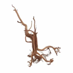M Siennawurzel Nr.6333 Wurzel Holz Aquarium Deko Aquascaping -Haus Dekoration Verkaufsgeschäft M Siennawurzel Nr 6332 Wurzel Holz Aquarium Deko Aquascaping 6333 2 29887
