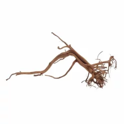 M Siennawurzel Nr.6333 Wurzel Holz Aquarium Deko Aquascaping -Haus Dekoration Verkaufsgeschäft M Siennawurzel Nr 6332 Wurzel Holz Aquarium Deko Aquascaping 6333 3 29887