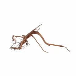 M Siennawurzel Nr.6333 Wurzel Holz Aquarium Deko Aquascaping -Haus Dekoration Verkaufsgeschäft M Siennawurzel Nr 6332 Wurzel Holz Aquarium Deko Aquascaping 6333 4 29887