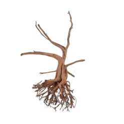 M Siennawurzel Nr.6358 Wurzel Holz Aquarium Deko Aquascaping -Haus Dekoration Verkaufsgeschäft M Siennawurzel Nr 6357 Wurzel Holz Aquarium Deko Aquascaping 6358 2 29912