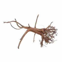 M Siennawurzel Nr.6358 Wurzel Holz Aquarium Deko Aquascaping -Haus Dekoration Verkaufsgeschäft M Siennawurzel Nr 6357 Wurzel Holz Aquarium Deko Aquascaping 6358 3 29912