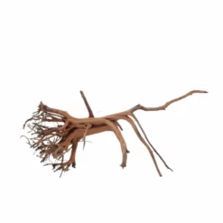 M Siennawurzel Nr.6358 Wurzel Holz Aquarium Deko Aquascaping -Haus Dekoration Verkaufsgeschäft M Siennawurzel Nr 6357 Wurzel Holz Aquarium Deko Aquascaping 6358 4 29912
