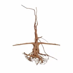 M Siennawurzel Nr.6362 Wurzel Holz Aquarium Deko Aquascaping