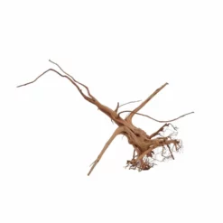 M Siennawurzel Nr.6362 Wurzel Holz Aquarium Deko Aquascaping -Haus Dekoration Verkaufsgeschäft M Siennawurzel Nr 6361 Wurzel Holz Aquarium Deko Aquascaping 6362 4 29916