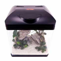 Nano Aquarium Laguna In Schwarz Komplettaquarium +LED Beleuchtung +Filteranlage -Haus Dekoration Verkaufsgeschäft Nano Aquarium Laguna in schwarz Komplettaquarium LED Beleuchtung Filteranlage DSC01770 2 12485