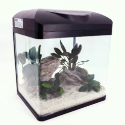 Nano Aquarium Laguna In Schwarz Komplettaquarium +LED Beleuchtung +Filteranlage -Haus Dekoration Verkaufsgeschäft Nano Aquarium Laguna in schwarz Komplettaquarium LED Beleuchtung Filteranlage DSC01783 2 12485 1