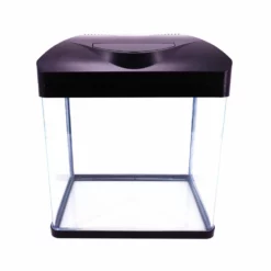 Nano Aquarium Laguna In Schwarz "inklusive Dekoration" -Haus Dekoration Verkaufsgeschäft Nano Aquarium Laguna in schwarz inklusive Dekoration DSC00882 2 13288