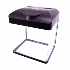 Nano Aquarium Laguna In Schwarz "inklusive Dekoration" -Haus Dekoration Verkaufsgeschäft Nano Aquarium Laguna in schwarz inklusive Dekoration DSC00889 2 13288