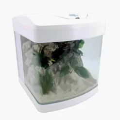 Nano Aquarium XCUBE In Weiß Komplettaquarium +LED Beleuchtung +Mondlicht +Filter -Haus Dekoration Verkaufsgeschäft Nano Aquarium XCUBE in weiss Komplettaquarium LED Beleuchtung Mondlicht Filter DSC01168 Kopie 2 19157