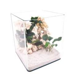 Nanotank 20 Aquarium Mit Abdeckung Und Unterlage -Haus Dekoration Verkaufsgeschäft Nanotank 20 Aquarium mit Abdeckung und Unterlage DSC02441 2 21554