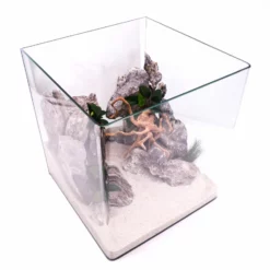 Nanotank 60 Aquarium Mit Abdeckung Und Unterlage -Haus Dekoration Verkaufsgeschäft Nanotank 30 Aquarium mit Abdeckung und Unterlage DSC02410 2 21556