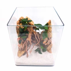 Nanotank Cubo System 30 Aquarium Komplettaquarium Innenfilter LED Beleuchtung -Haus Dekoration Verkaufsgeschäft Nanotank Cubo System 20 Innenfilter LED Beleuchtung Glasbecken DSC02422 2 21517