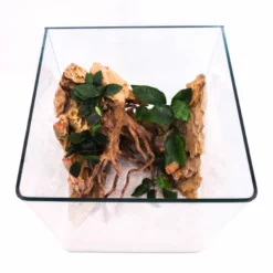 Nanotank Cubo System 30 Aquarium Komplettaquarium Innenfilter LED Beleuchtung -Haus Dekoration Verkaufsgeschäft Nanotank Cubo System 20 Innenfilter LED Beleuchtung Glasbecken DSC02424 2 21517