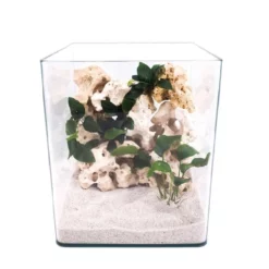 Nanotank Cubo System 20 Aquarium Komplettaquarium Innenfilter LED Beleuchtung -Haus Dekoration Verkaufsgeschäft Nanotank Cubo System 20 Innenfilter LED Beleuchtung Glasbecken nano 20 21516 2