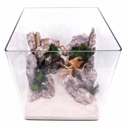 Nanotank Cubo System 60 Aquarium Komplettaquarium Innenfilter LED Beleuchtung -Haus Dekoration Verkaufsgeschäft Nanotank Cubo System 30 Innenfilter LED Beleuchtung Glasbecken DSC02408 2 21518