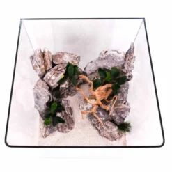 Nanotank Cubo System 60 Aquarium Komplettaquarium Innenfilter LED Beleuchtung -Haus Dekoration Verkaufsgeschäft Nanotank Cubo System 30 Innenfilter LED Beleuchtung Glasbecken DSC02409 2 21518