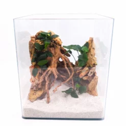 Nanotank Cubo System 30 Aquarium Komplettaquarium Innenfilter LED Beleuchtung -Haus Dekoration Verkaufsgeschäft Nanotank Cubo System 30 Innenfilter LED Beleuchtung Glasbecken nano 30 21517