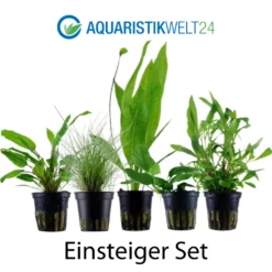 Pflanzen Set Mit 5 Einsteiger Wasserpflanzen Nr.104 -Haus Dekoration Verkaufsgeschäft Pflanzen Set Nr 104 071 053B 109 132C 101 2 27257
