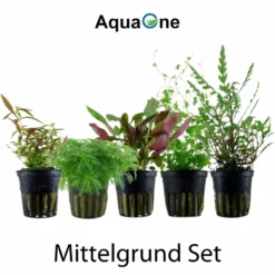 Pflanzen Set Mit 5 Mittelgrund Wasserpflanzen Nr.115 -Haus Dekoration Verkaufsgeschäft Pflanzen Set Nr 115 037 053C 047C 051A 039B 2 27267
