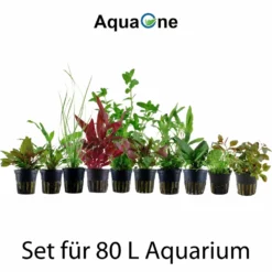 Set Für 80 Liter Aquarien Mit 10 Pflanzen Aquariumpflanzen Set Nr.137 -Haus Dekoration Verkaufsgeschäft Set fuer 60 Liter Aquarien mit 8 Pflanzen Aquariumpflanzen Set Nr 136 2 30650