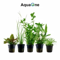 Set Für 80 Liter Aquarien Mit 10 Pflanzen Aquariumpflanzen Set Nr.137 -Haus Dekoration Verkaufsgeschäft Set fuer 60 Liter Aquarien mit 8 Pflanzen Aquariumpflanzen Set Nr 136 3 30650