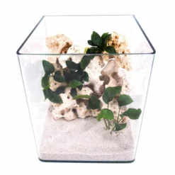 Nanotank Cubo System 20 Aquarium Komplettaquarium Innenfilter LED Beleuchtung -Haus Dekoration Verkaufsgeschäft Wave Box ORION 30 Nano Aquarium Komplettaquarium Mini Aquarium Filteranlage DSC02438 2 21516