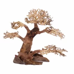 XL Bonsai Baum Nr.12004 Wurzel Holz Aquarium Deko Aquascaping