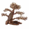 XL Bonsai Baum Nr.12005 Wurzel Holz Aquarium Deko Aquascaping