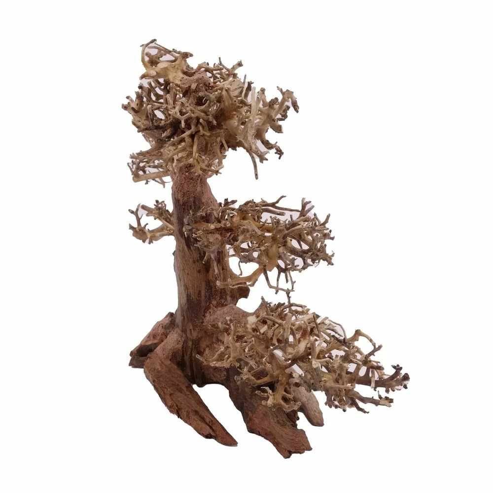 XL Bonsai Baum Nr.12005 Wurzel Holz Aquarium Deko Aquascaping 2 XL Bonsai Baum Nr.12005 Wurzel Holz Aquarium Deko Aquascaping – Bild 2