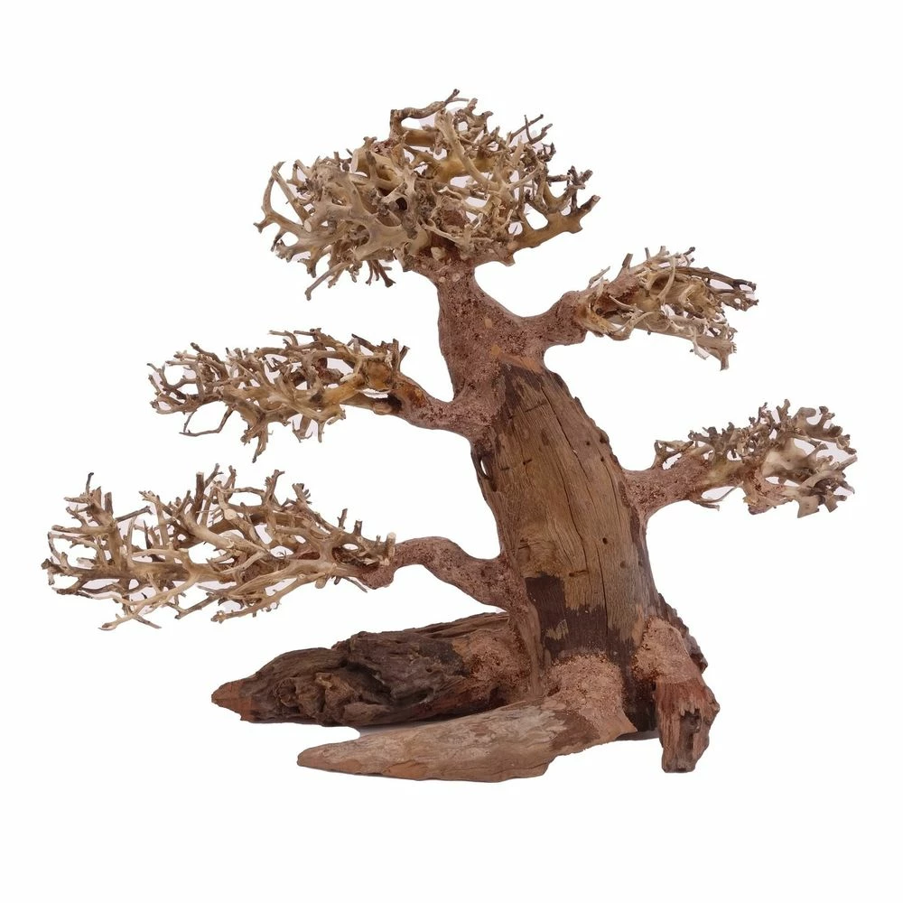 XL Bonsai Baum Nr.12005 Wurzel Holz Aquarium Deko Aquascaping 4 XL Bonsai Baum Nr.12005 Wurzel Holz Aquarium Deko Aquascaping – Bild 4