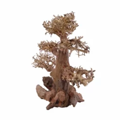 XL Bonsai Baum Nr.12005 Wurzel Holz Aquarium Deko Aquascaping 6 XL Bonsai Baum Nr.12005 Wurzel Holz Aquarium Deko Aquascaping -Haus Dekoration Verkaufsgeschäft XL Bonsai Baum Nr 12004 Wurzel Holz Aquarium Deko Aquascaping 12005 4 Kopie 26207